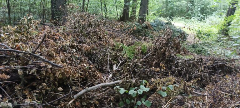 Wywrotka bioodpadów w lesie. Leśnicy przypominają: to też są niedozwolone śmieci [FOTO]