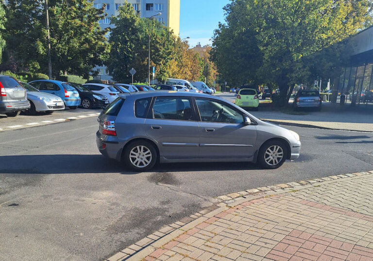 Mistrzowie parkowania [FOTO]