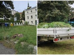 Kulisy samorządu: Demokracja bez prawdziwych dziennikarzy jest jak dom bez okien