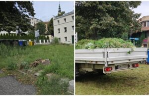 Kulisy samorządu: Demokracja bez prawdziwych dziennikarzy jest jak dom bez okien