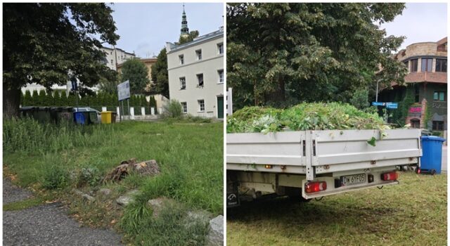 Kulisy samorządu: Demokracja bez prawdziwych dziennikarzy jest jak dom bez okien