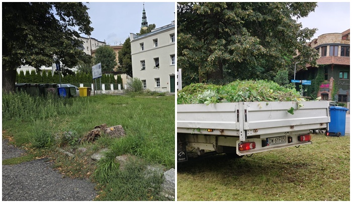 Kulisy samorządu: Demokracja bez prawdziwych dziennikarzy jest jak dom bez okien