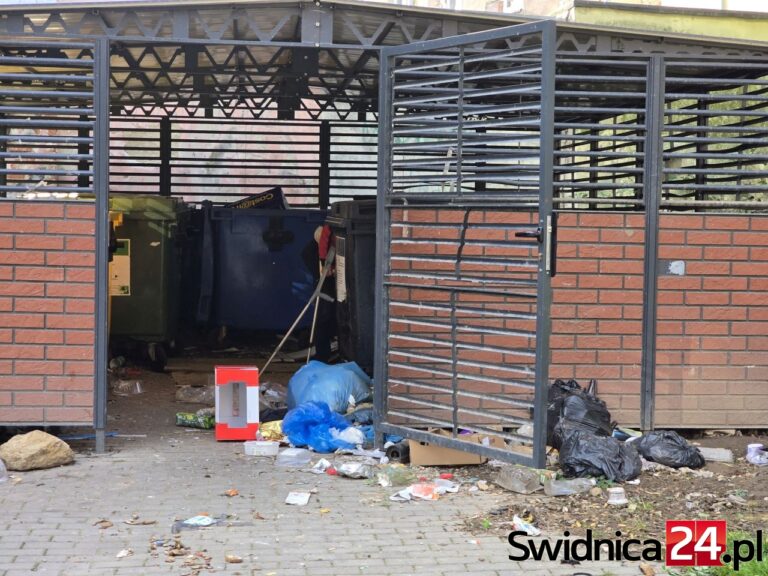 Bomba ekologiczna w centrum Świdnicy. Co robi, a raczej czego nie robi, miasto jako właściciel wiaty [FOTO]
