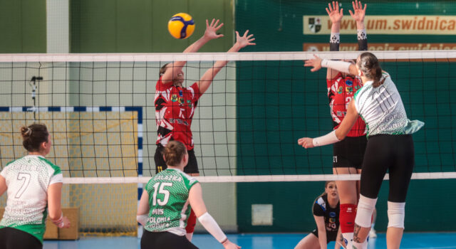II liga siatkowki kobiet MKS Polonia Swidnica_-_KKS Zlotoryja 2026.10.03-23 II liga siatkowki kobiet MKS Polonia Swidnica_-_KKS Zlotoryja 2026.10.03-23