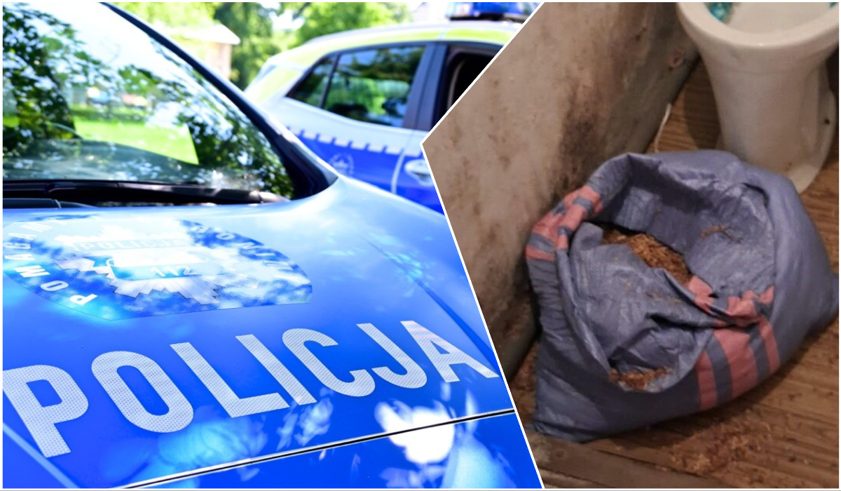 Lewy tytoń przejęty przez celników
