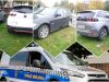 Potrącona sarna, parkowanie na trawniku, nielegalna toaleta za przystankiem. Interwencje straży miejskiej