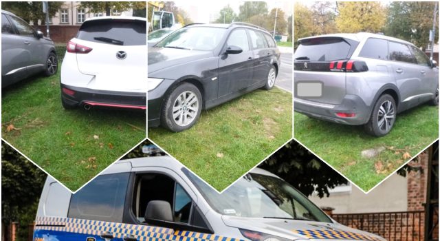 Potrącona sarna, parkowanie na trawniku, nielegalna toaleta za przystankiem. Interwencje straży miejskiej